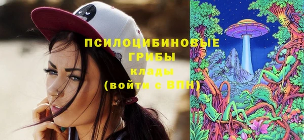 прущий лед Богданович
