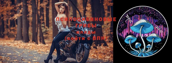 дурь Лиски