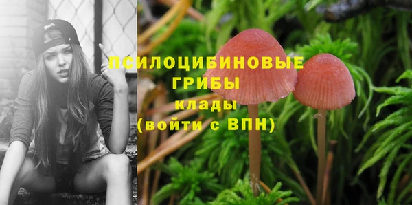 гашишное масло Белокуриха