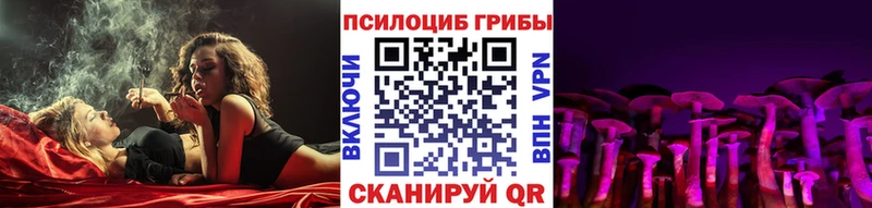 blacksprut зеркало Енисейск Галлюциногенные грибы прущие грибы